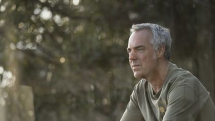 Bosch IV (6/10)