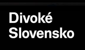 Divoké Slovensko