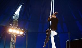 Cirkus Bukowsky (2/12)