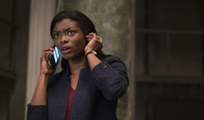 FBI (18)