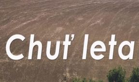 Chuť leta