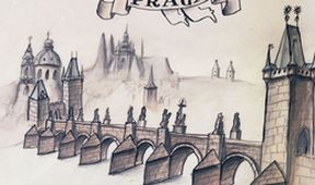Zpráva o medvědech