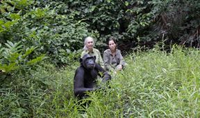 Útulek pro záchranu šimpanzů Jane Goodallové (5/6)