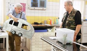 Krejzovi (111)