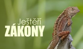 Ještěří zákony