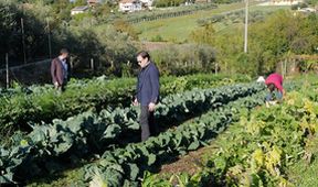 Manu a Matěj na cestě z Říma na ostrov Capri (2/10)