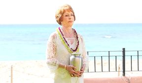Hawaii 5-0 VI (12)