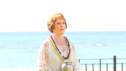 Hawaii 5-0 VI (12)