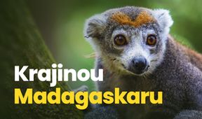 Krajinou Madagaskaru