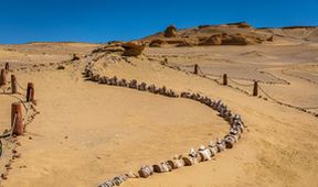 Tajemné údolí velryb v Egyptě