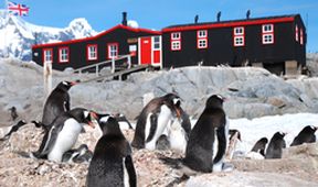 Poštovna v zemi tučňáků