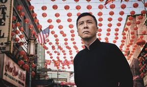 Ip Man 4: The Finale