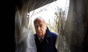 Harry Brown