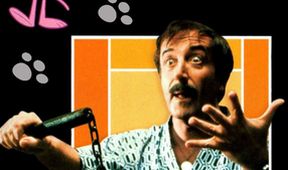 Inspektor Clouseau - Der 'beste' Mann bei Interpol