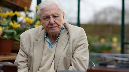 David Attenborough: Písně přírody