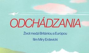 Povolení k pobytu, Mezinárodní den Romů