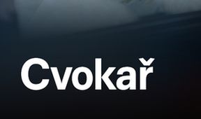 Cvokař
