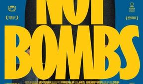 Blix, nie bomby. Diplomat a vojna