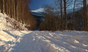 Lysá hora