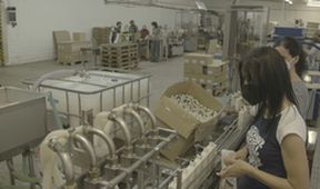 Industrie (5/12)