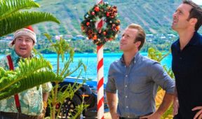 Hawaii 5-0 V (9)