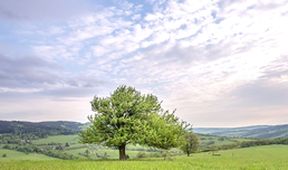 Krajinou domova (6/8)