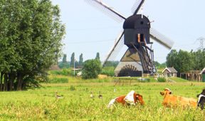 Kamera na cestách: Nizozemsko, země tradic i moderny