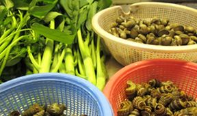 S gurmánem na cestách II: Malajsijský Penang