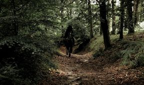 J. R. R. Tolkien