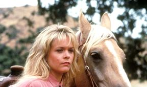 Danielle Steelová: Palomino
