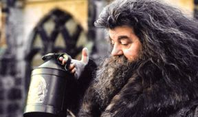 Harry Potter a Tajemná komnata