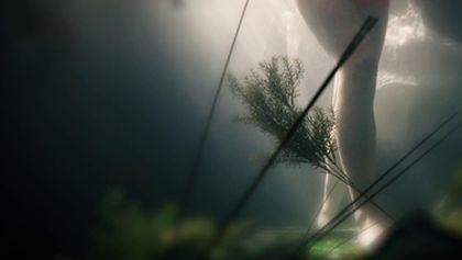 Instinkt sebezáchovy - Příběhy o přežití (3)