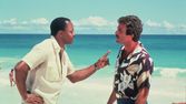 Magnum V (11/22)