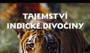 Tajemství indické divočiny (2)