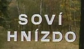 Soví hnízdo
