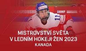 Česko - Švýcarsko, Hokej