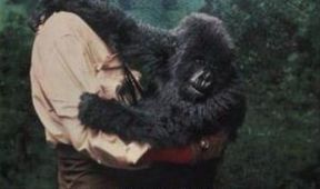 Gorily v mlze, Velikáni filmu... Sigourney Weaverová