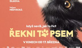 Řekni to psem