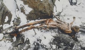 Tajemství v ledu II (1)