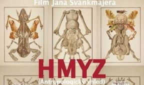 Hmyz, České kino na Artu