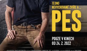 Zábavná psí cesta
