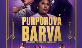 Purpurová barva