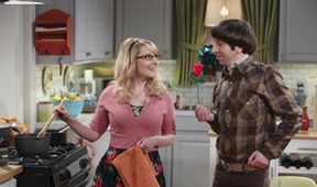 The Big Bang Theory VI