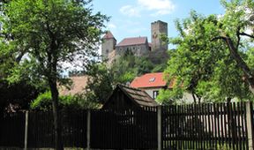 Divočina bez hranic