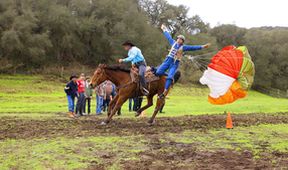 Jackass 3.5