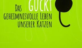 Wenn keiner guckt - Das geheimnisvolle Leben unserer Katzen