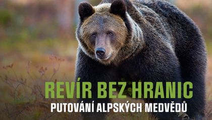 Revír bez hranic - putování alpských medvědů