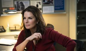 FBI IV (14/22)