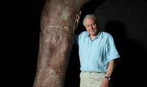 David Attenborough a obří dinosaurus