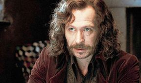 Harry Potter a Fénixův řád
